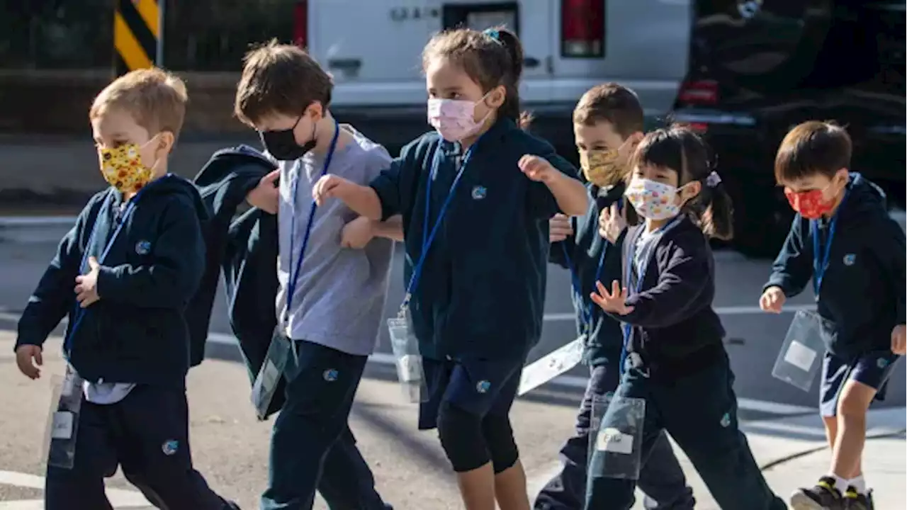 Learning to live with COVID: why some experts say it's time to 'manage' the virus | CBC Radio
