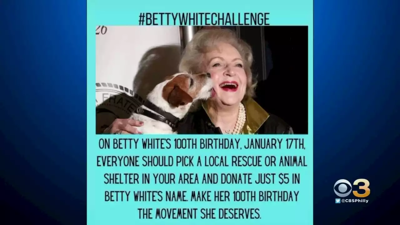 Philadelphia Animal Shelters, At Or Near Capacity, Hope Betty White Challenge Leads To Forever Homes