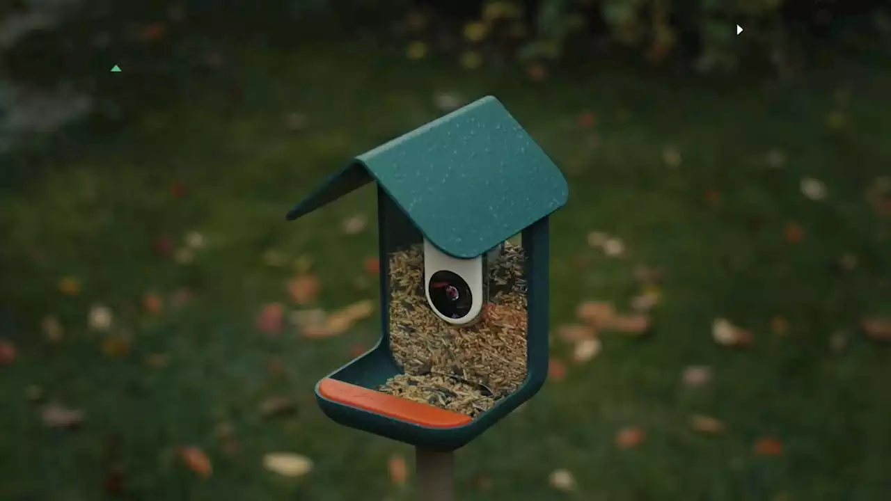 This high-tech bird feeder takes bird watching to the next level - CNN Video