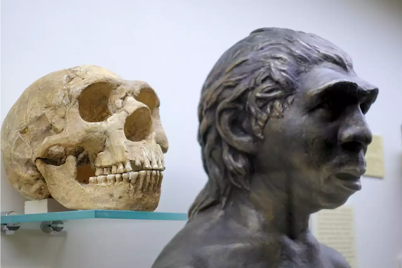 Who Were the Ancestors of the Neanderthals?