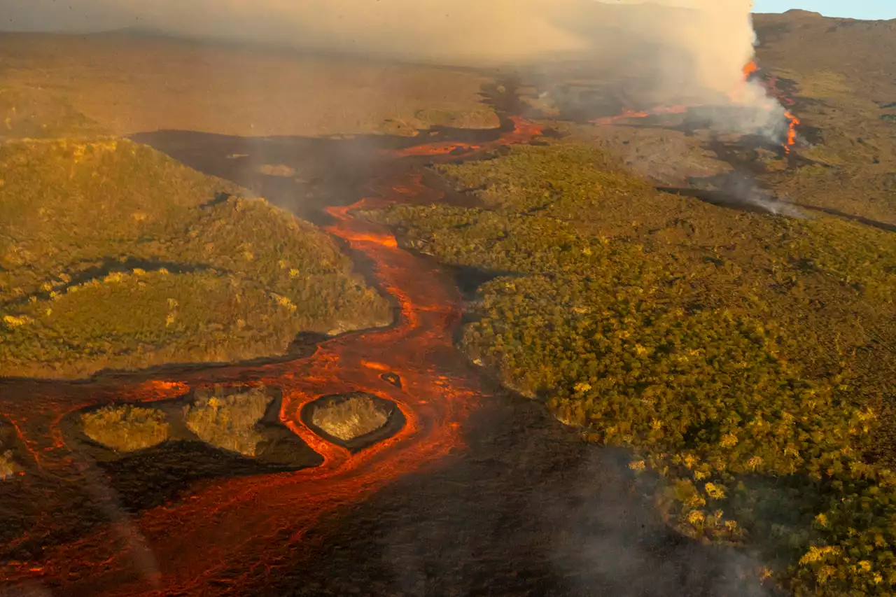 Galapagos-Inseln - Ausbruch des höchsten Vulkans