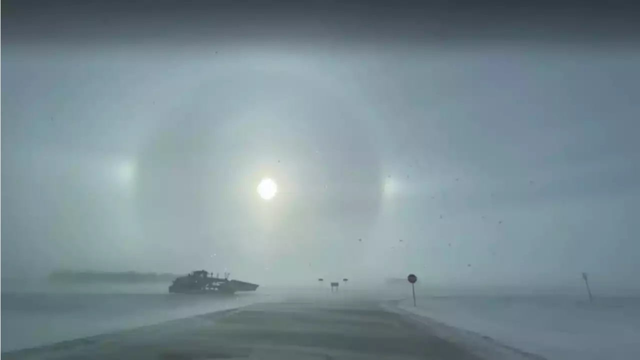 Winter snowstorms hit the Northeastern US