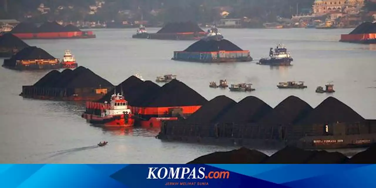 Daftar 7 Orang Terkaya Indonesia Pemilik Bisnis Batu Bara