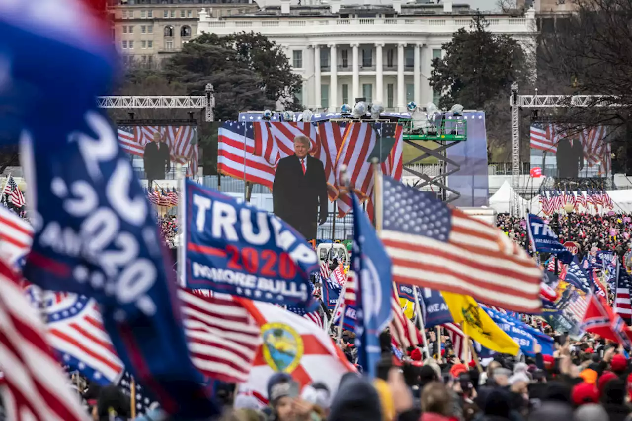 Trump claims Jan. 6 rally size 'censored' by media, crowd was biggest he's seen