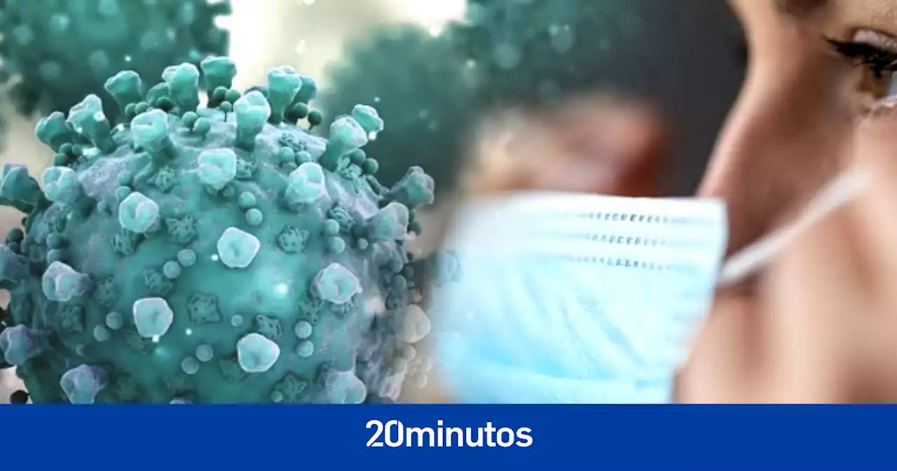 Contagiados de covid dos, tres... y hasta cuatro veces: ómicron dispara las reinfecciones en España