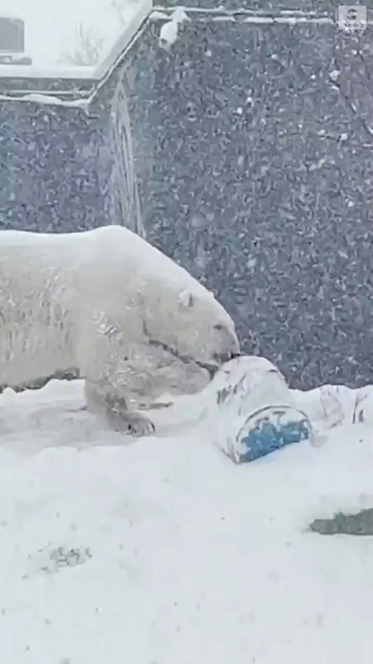 Snowstorm, backed by arctic blast, slams Northeast