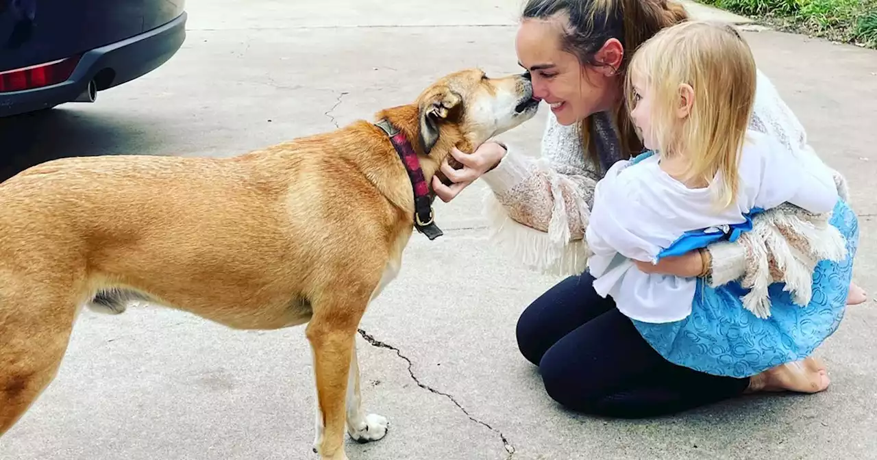 This improbable ending for a beloved dog lost in East Dallas is the mental health break we all need