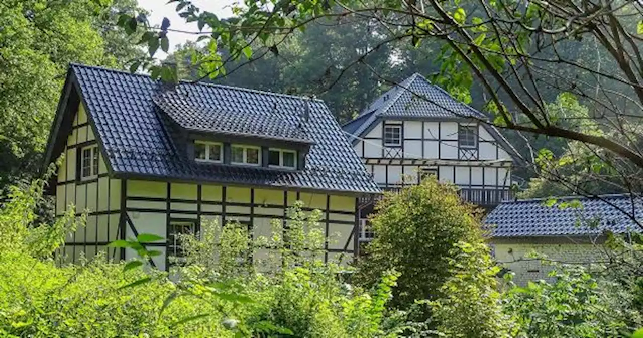 Wanderung durch den Königsforst von Forsbach nach Rath/Heumar