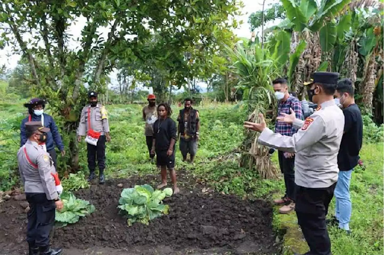 Polri Akan Rekrut Ribuan Warga Papua Jadi Polisi - Berita Utama - koran.tempo.co