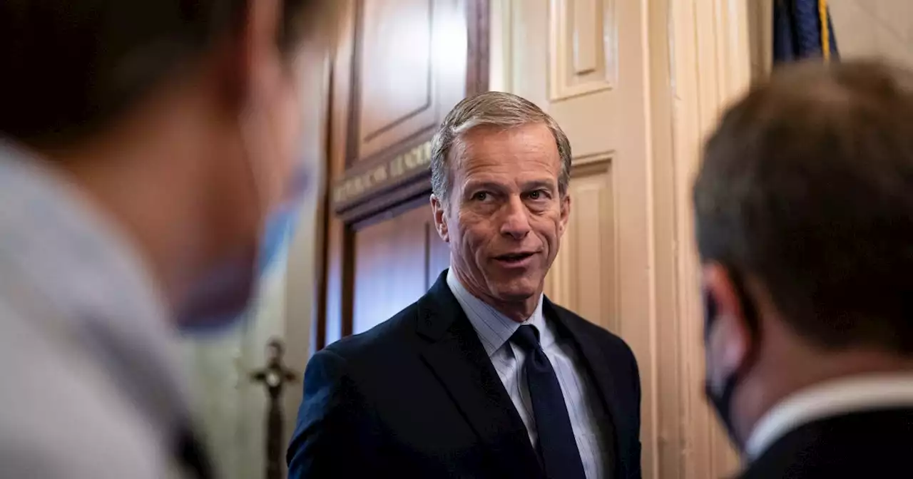 Senate Minority Whip John Thune says he'll seek reelection after mulling retirement