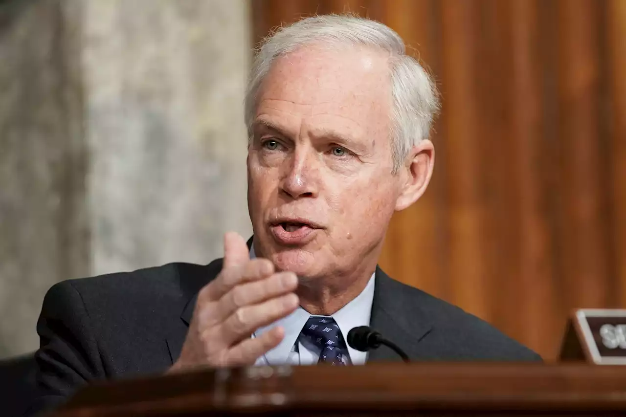 Wisconsin Republican Sen. Ron Johnson Will Seek Reelection