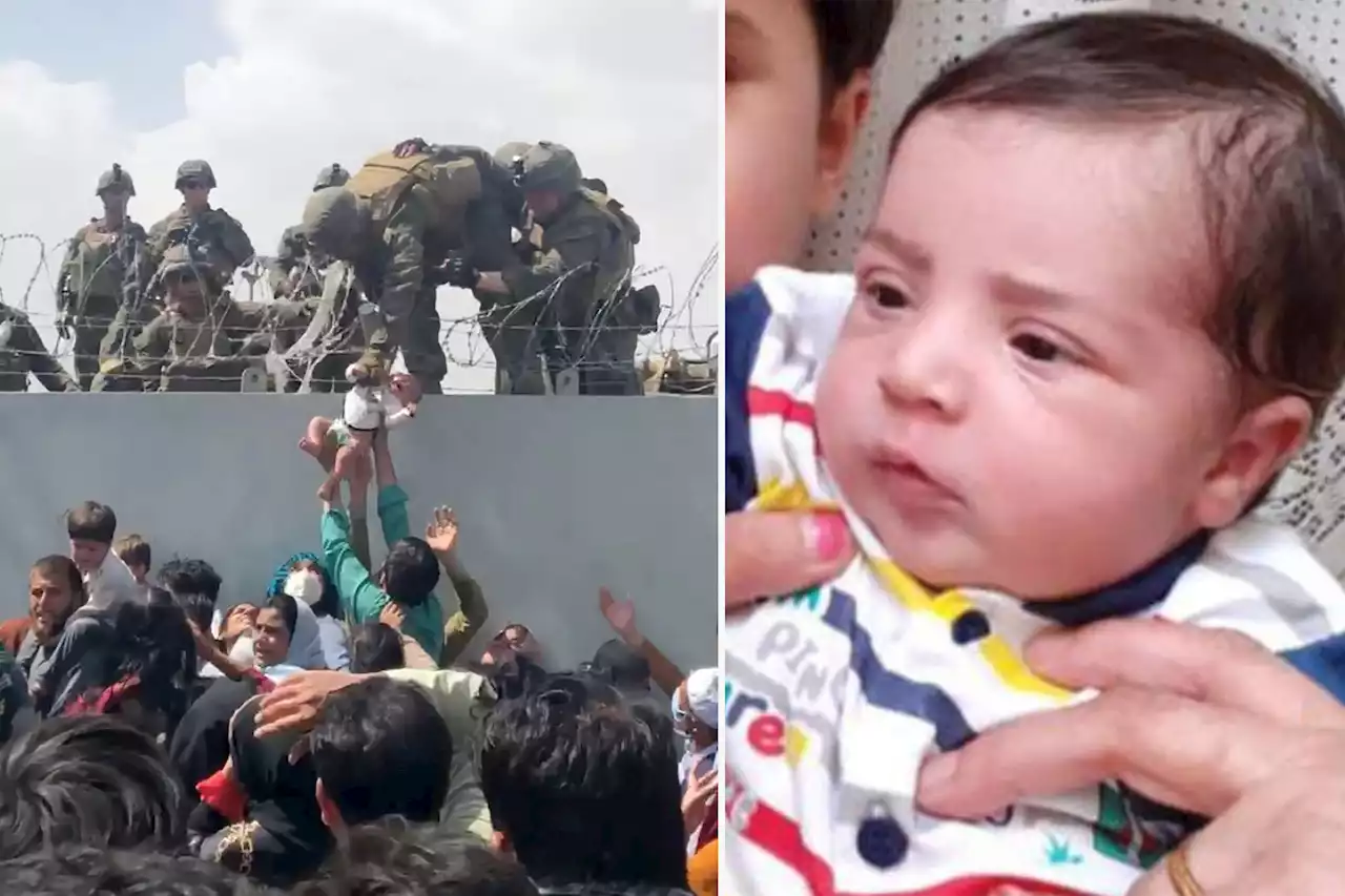 Afghan baby who went missing after being handed to US soldier reunited with family