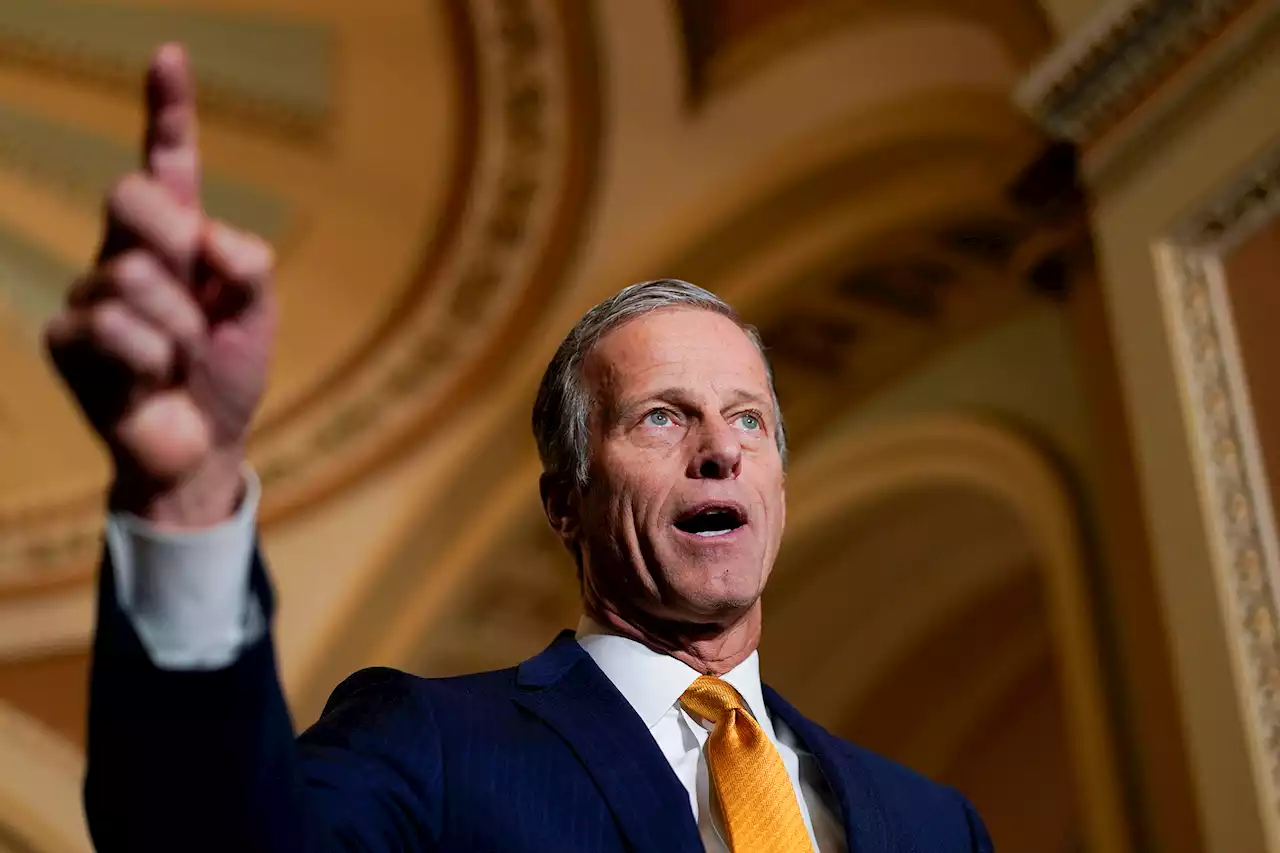 GOP Sen. John Thune to seek re-election after toying with retirement