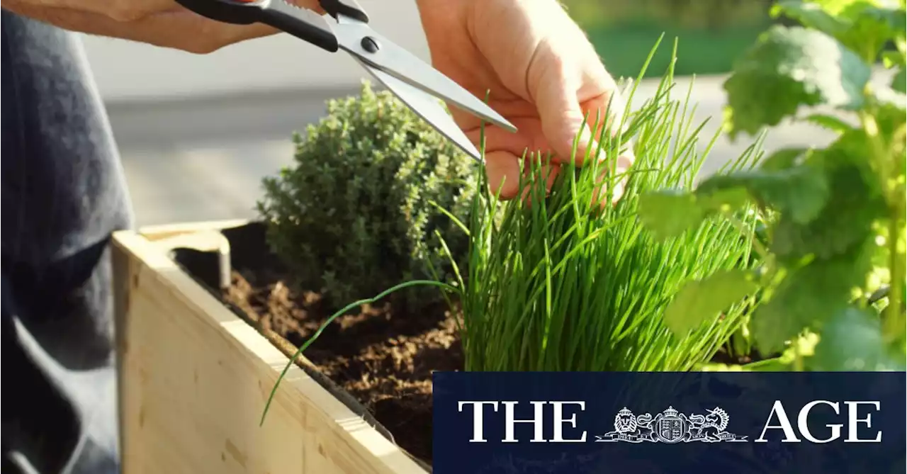 The blooming great garden trends set to take seed in 2022