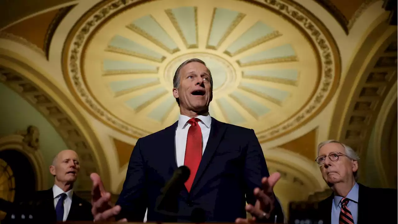 Trump Nemesis John Thune Says He’s Running for Senate Again