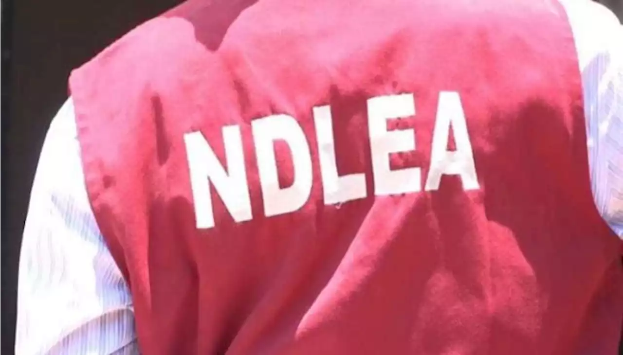 Grandpa, fake security agent in NDLEA net over imported drug chocolates, cookies, others