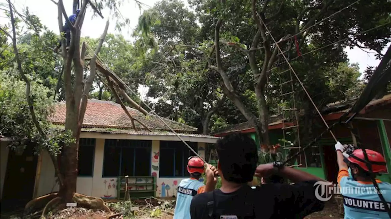 Angin Kencang di Kabupaten Luwu Sulsel, 30 Rumah Warga Rusak, 120 Jiwa Mengungsi - Tribunnews.com