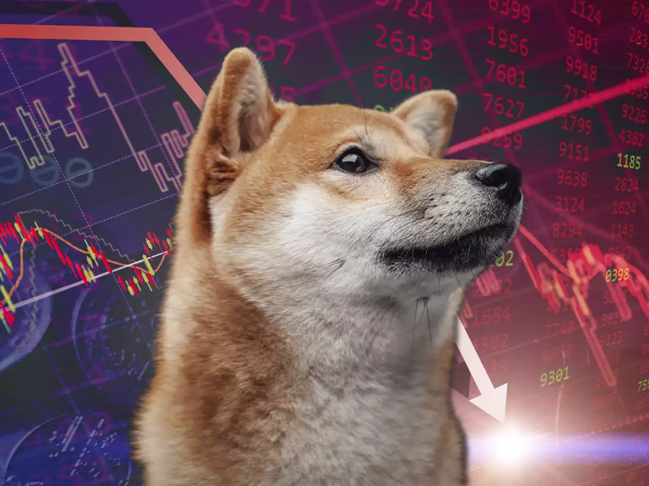 Shiba Inu Drops Below Dogecoin and AVAX on List of Top Coins and Tokens by Market Capitalization