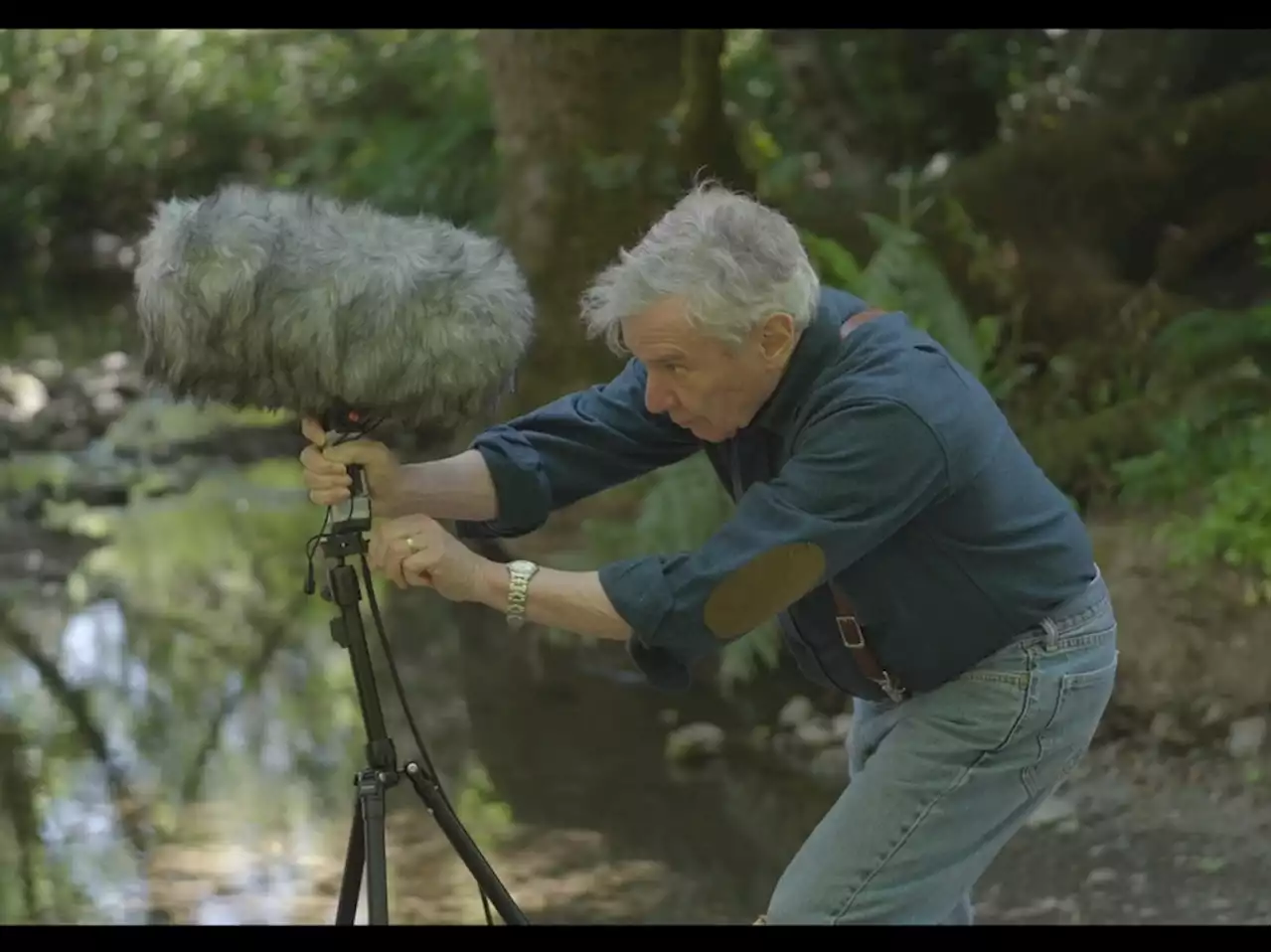 The 'Great Animal Orchestra' brings the wild rumpus of nature to art museums