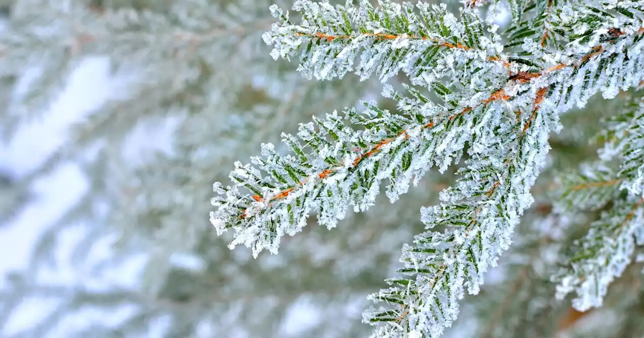 Winter Weather Advisory issued for parts of Northeast Ohio