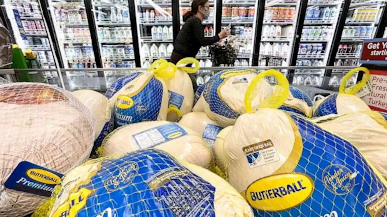 Turkey prices soar ahead of Thanksgiving, what consumers can expect