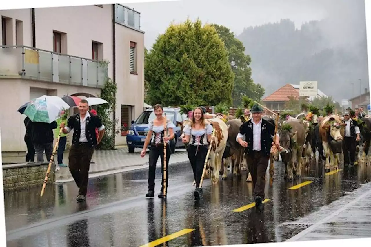 Hirtschaften im Viertelstundentakt – «Es war wunderschön» - bauernzeitung.ch