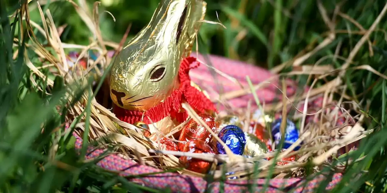 Schweizer Gericht gibt Lindt im Schoko-Hasen-Streit mit Lidl recht