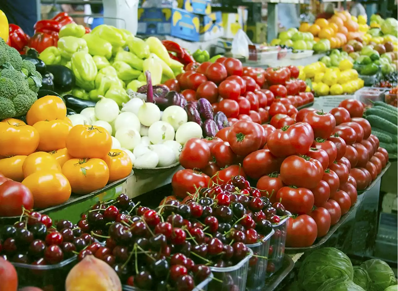 Purple Tomatoes Could Land at Your Supermarket Next Year