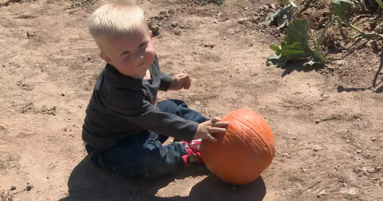 Apple Annie's Pumpkin Festival officially bringing fun and smiles for the fall season