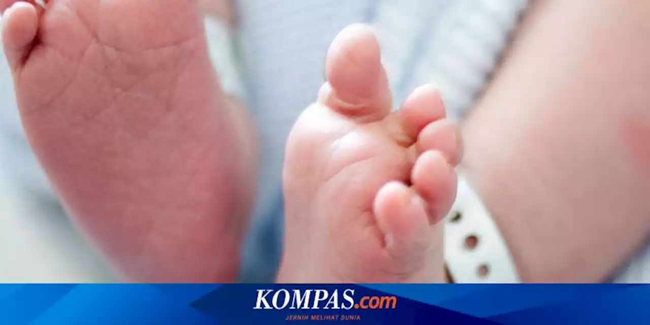 Momen Bayi Ohio Lahir di Ambulans yang Baru Saja Menjemput di Depan Rumahnya