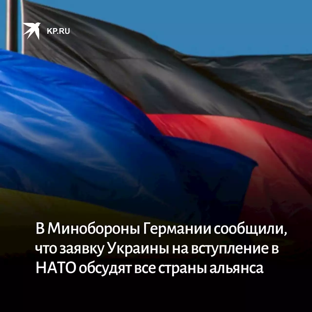 В Минобороны Германии сообщили, что заявку Украины на вступление в НАТО обсудят все страны альянса