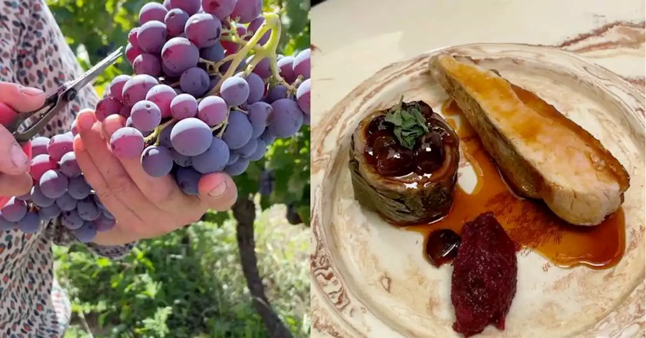 Vidéo - De la terre à l’assiette #8 : la pintade aux raisins muscat du Ventoux