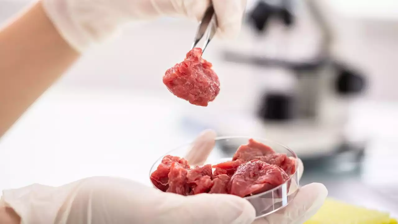 Lab-grown meat: How it's made, sustainability and nutrition