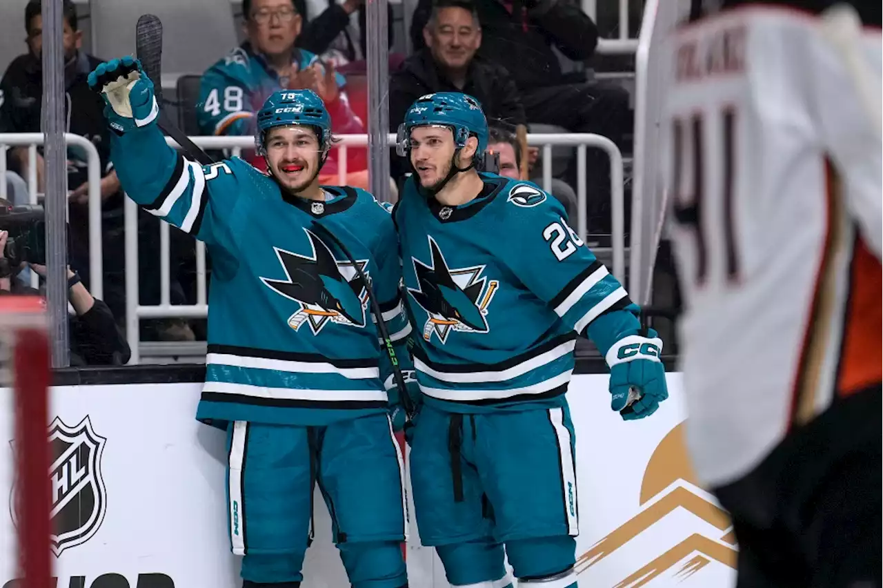 Sharks rookie scores hat-trick, makes case to be on European trip