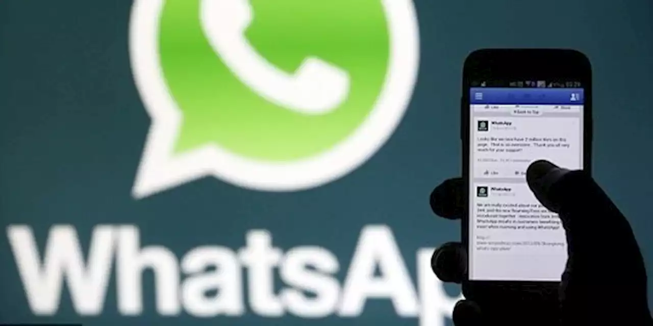 Indonesia Dapat Akses Fitur WhatsApp Business Search Lebih Awal | merdeka.com