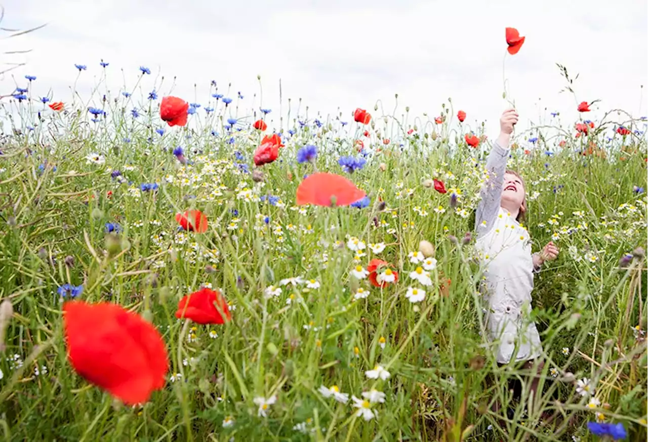 Flowers Baby Names | Flowers Names | Mother & Baby