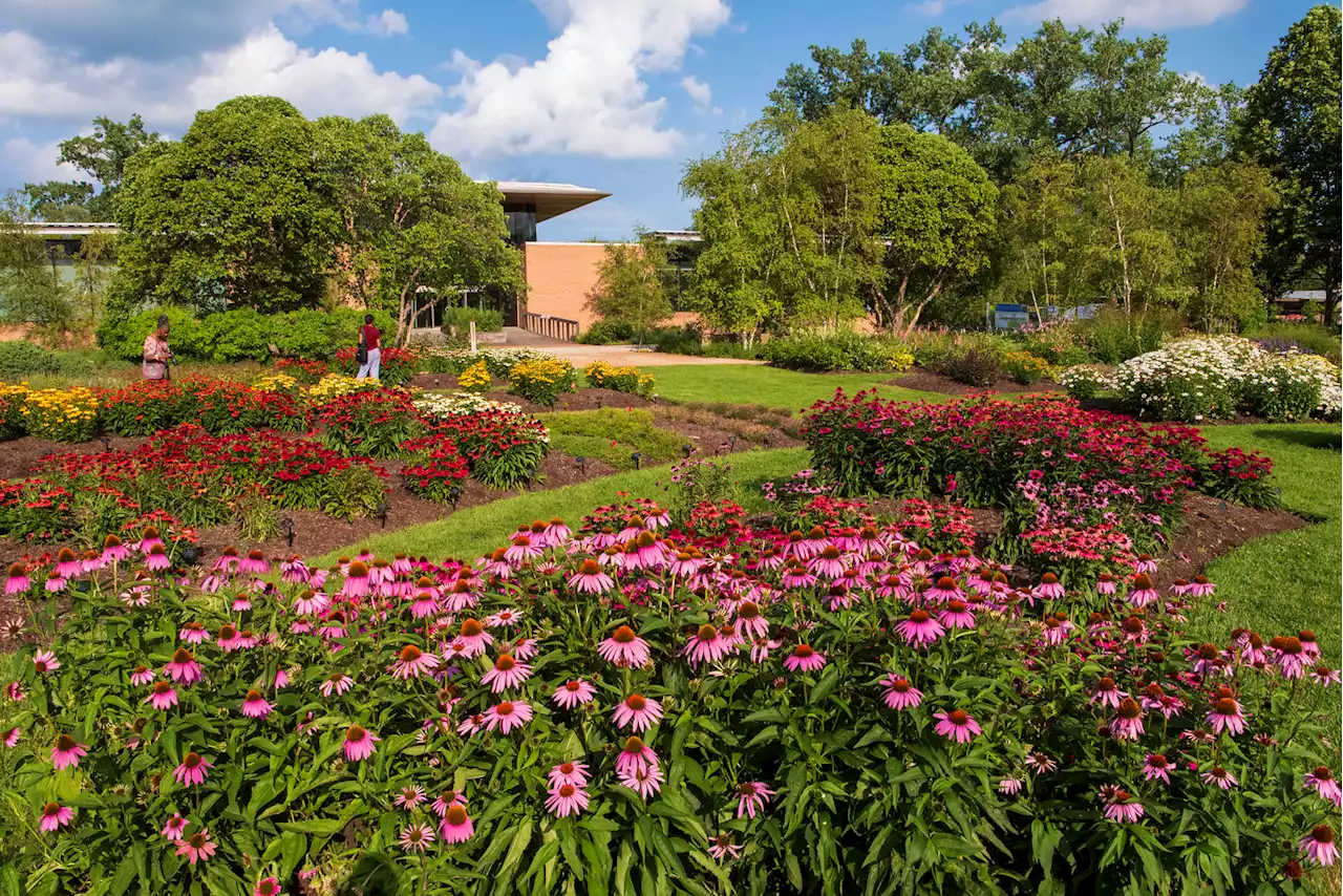 When Can I Visit The Chicago Botanic Garden For Free?