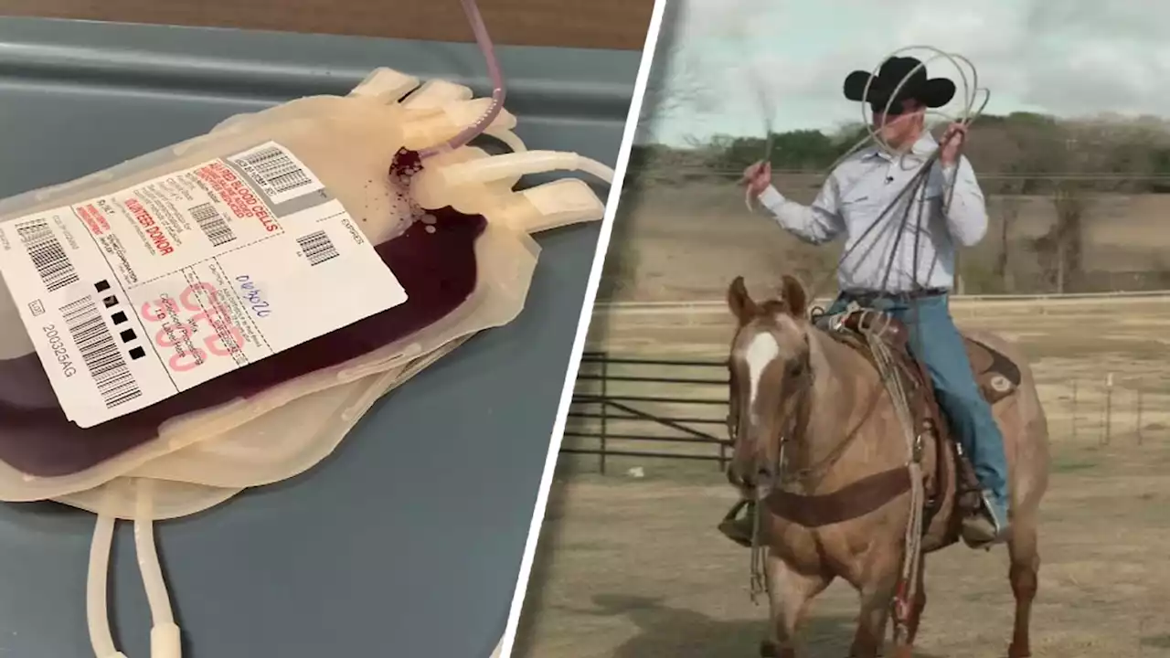 Saving a Cowboy: Treating Traumas With Whole Blood