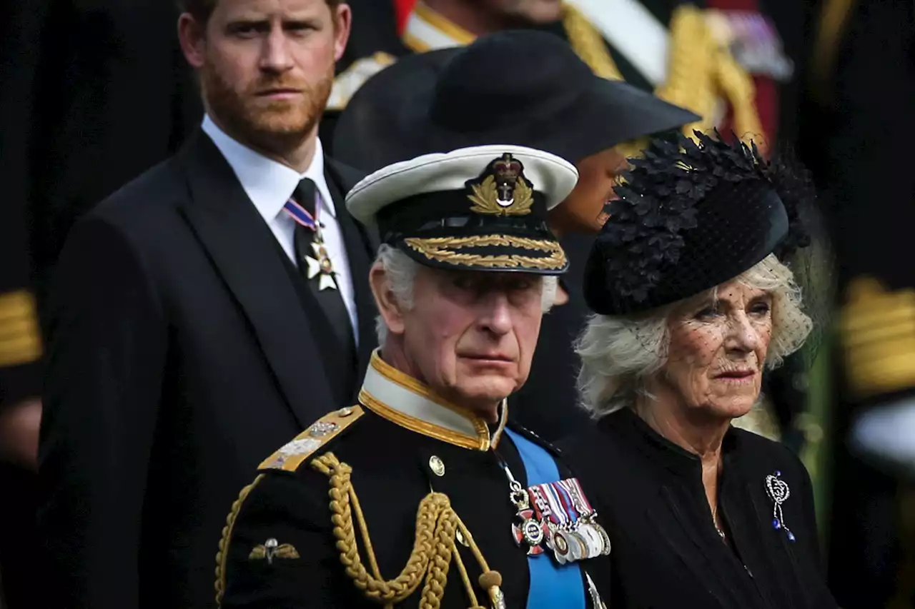 Prince Harry has said ‘nasty things’ about Camilla, royal biographer claims