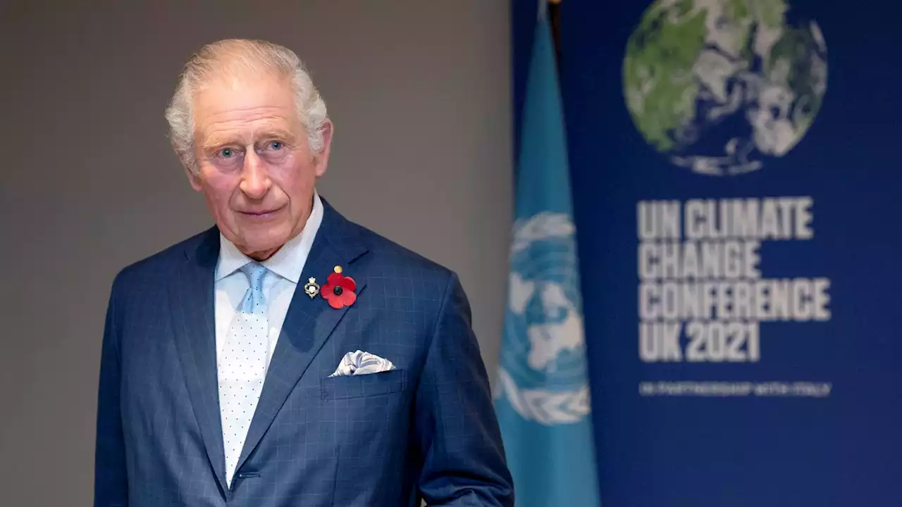 King Charles will not attend COP27 in Egypt, Buckingham Palace says