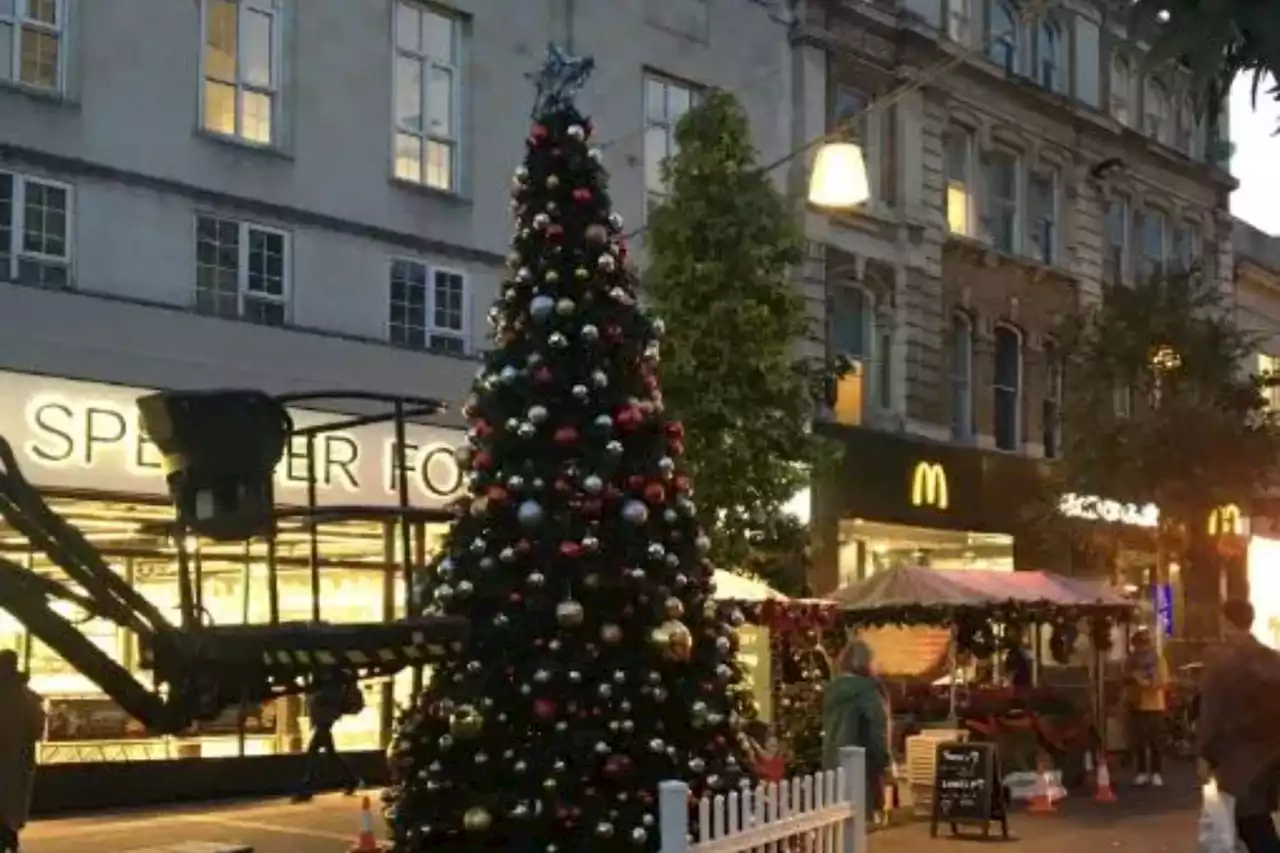 Shoppers baffled as huge Christmas tree is put up on street - 3 months early