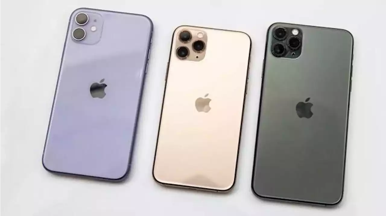 UPDATE Harga iPhone Oktober 2022: iPhone 11 Dijual Rp 7,2 Juta, iPhone 13 Pro Max Rp 18,9 Juta - Tribunnews.com