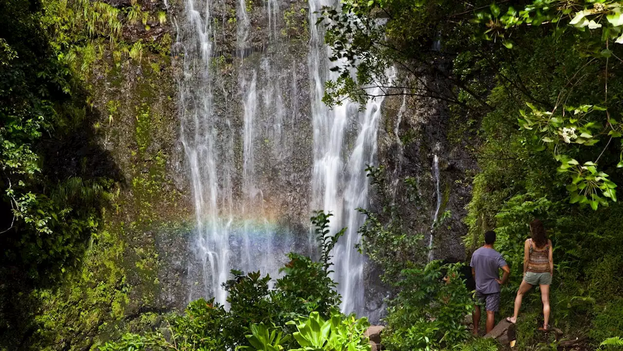 Listen up, tourists: Hawaii locals share what they wish visitors would stop doing