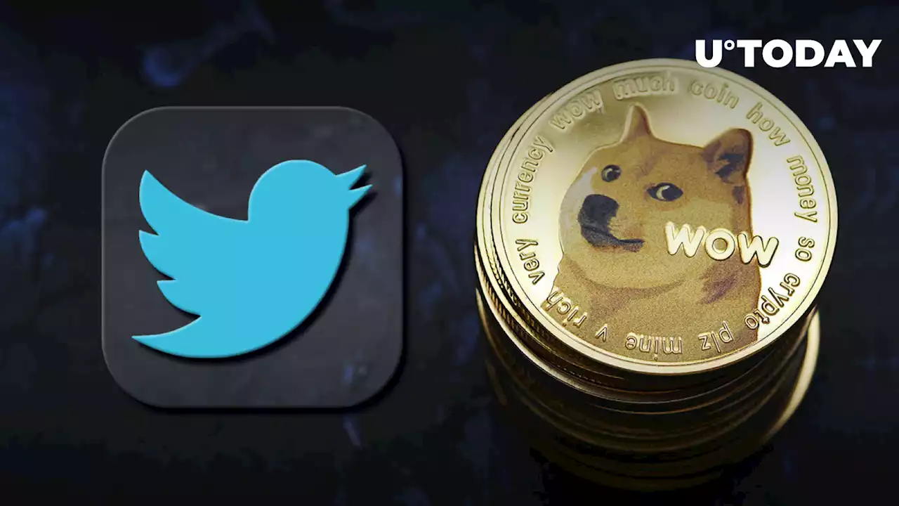 DOGE Co-Founder Says He Sees Fewer Spam Bots, Assumes Twitter’s Done Something