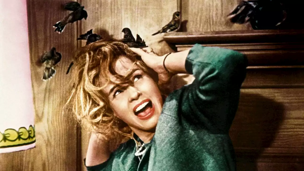 The 70 Best Spooky Movies to Watch for Halloween