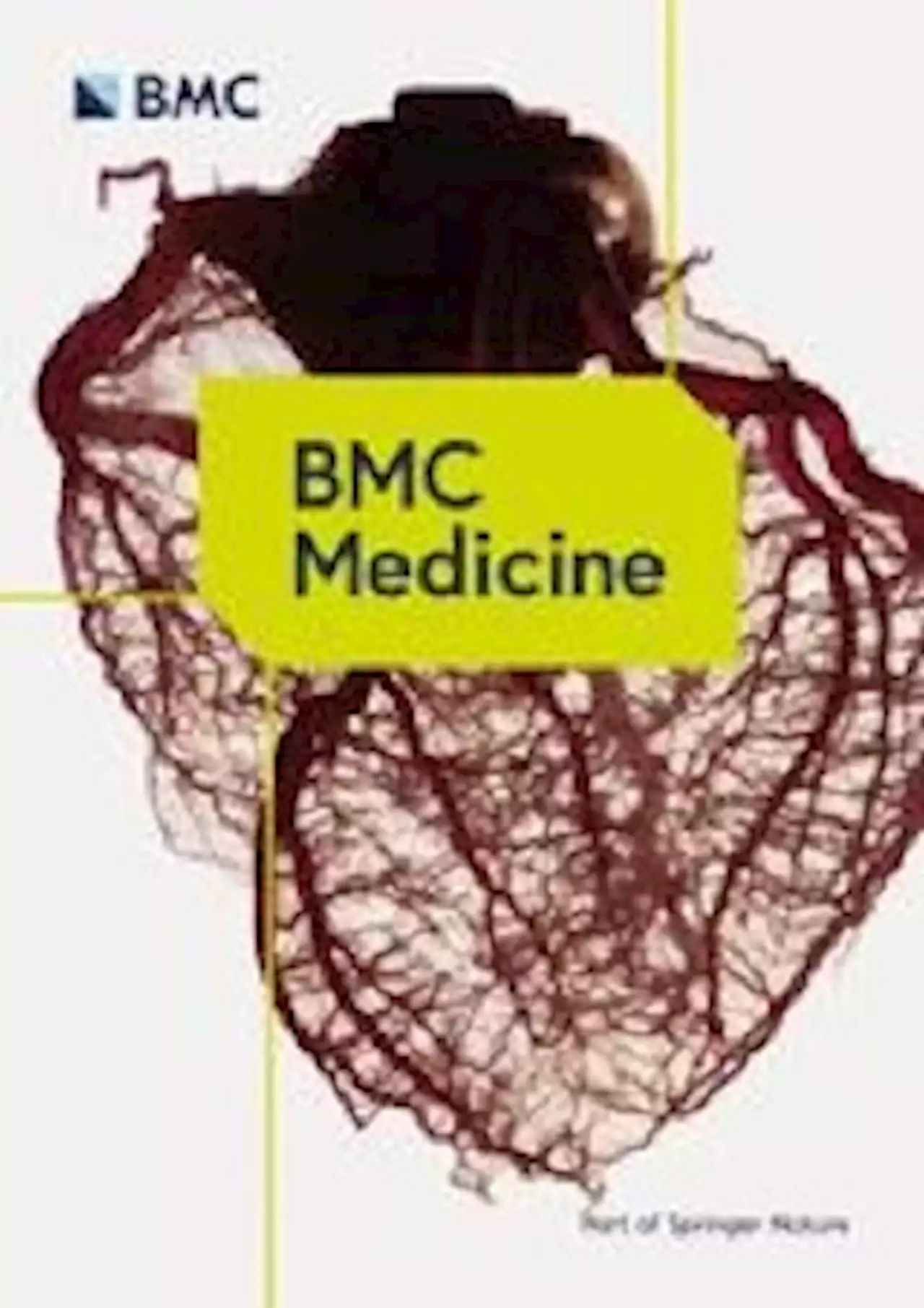 The effect of high-polyphenol Mediterranean diet on visceral adiposity: the DIRECT PLUS randomized controlled trial - BMC Medicine