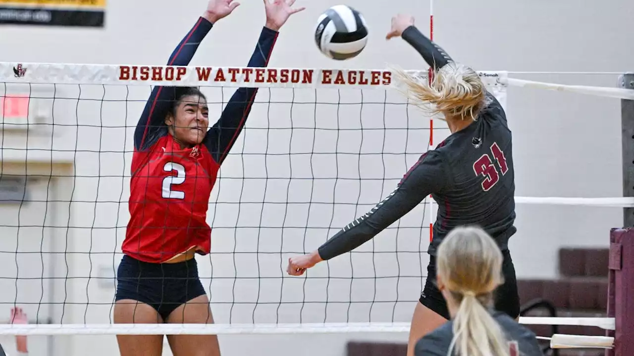 Hartley continues to be top Division II team in Ohio high school girls volleyball poll