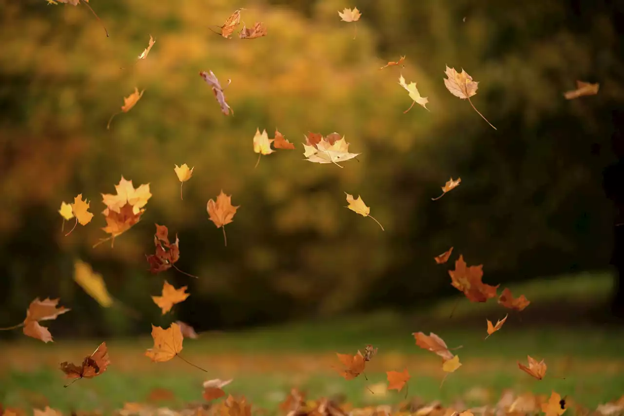 Fall weather on the way: Two cold fronts headed to San Antonio this week