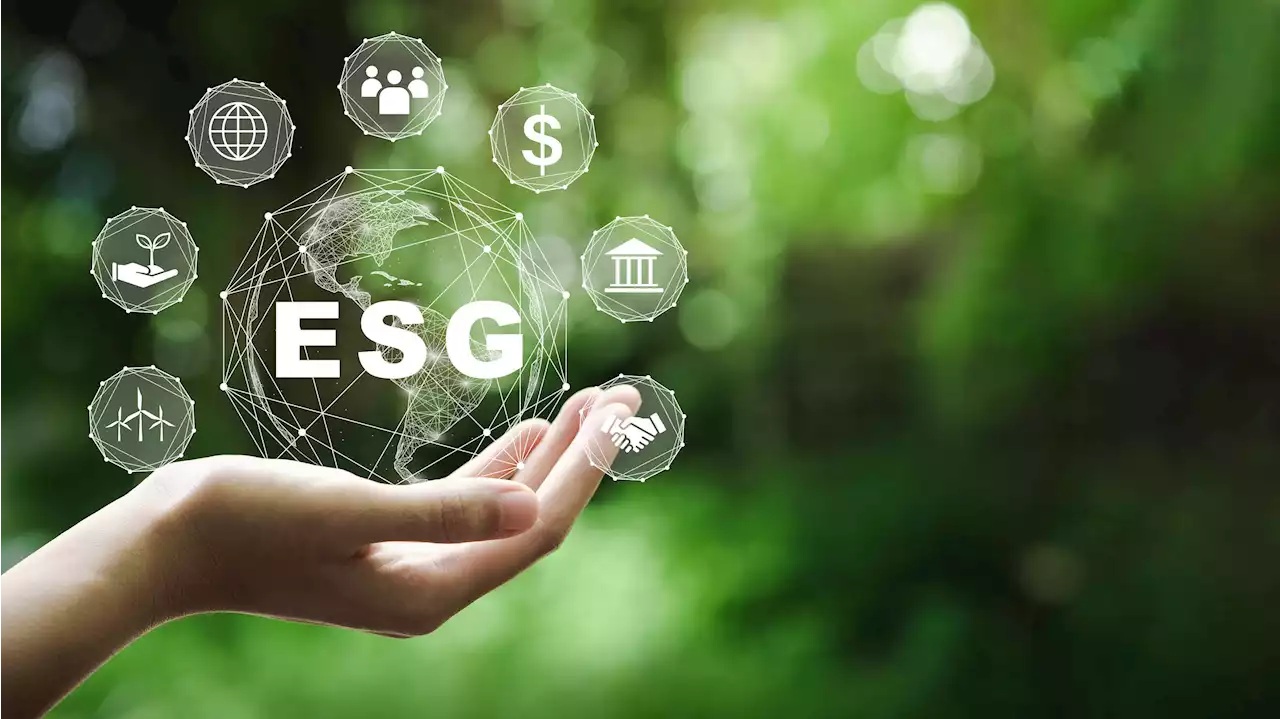 Making Employee Resource Groups And ESG Work Better Delivers Business Value