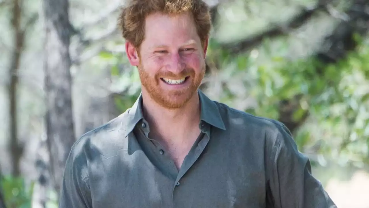 Prince Harry's Memoir 'Won't See the Light of Day,' Tina Brown Claims
